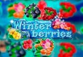 Winterberries